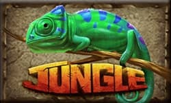 Jungle
